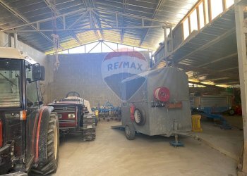 Parcheggio - Casa indipendente C.Da Colle Vertieri
 
15, Brittoli - foto 49