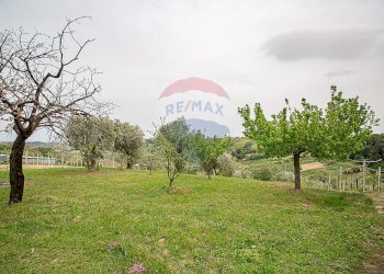 Giardino - Casa semi indipendente Contrada Crocetta, Villamagna - foto 14