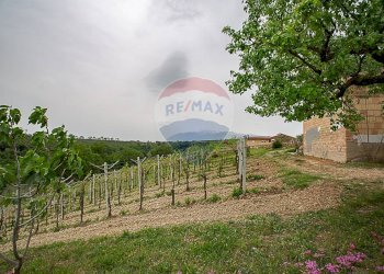 Giardino - Casa semi indipendente Contrada Crocetta, Villamagna - foto 16