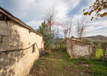 Giardino - Independent house Contrada Foreste
18, Miglianico - photo 24