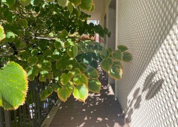 Balcone - Ufficio viale Europa
 
43, Chieti - foto 9