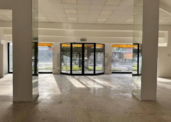 Ricezione / Lobby - Ufficio Via Alcide De Gasperi
 
10, Pescara - foto 6