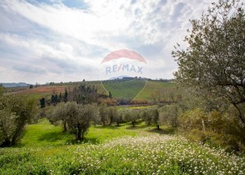 Giardino - Villa Madonna del Rosario
 
16, Ripa Teatina - foto 35