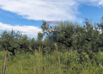 Vista delle montagne - Agricultural land VIA VENTIGNANO, Cepagatti - photo 3