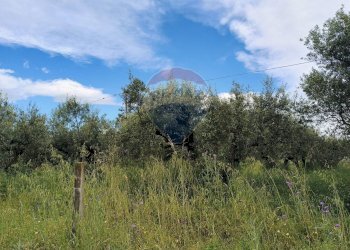 Vista delle montagne - Agricultural land VIA VENTIGNANO, Cepagatti - photo 4