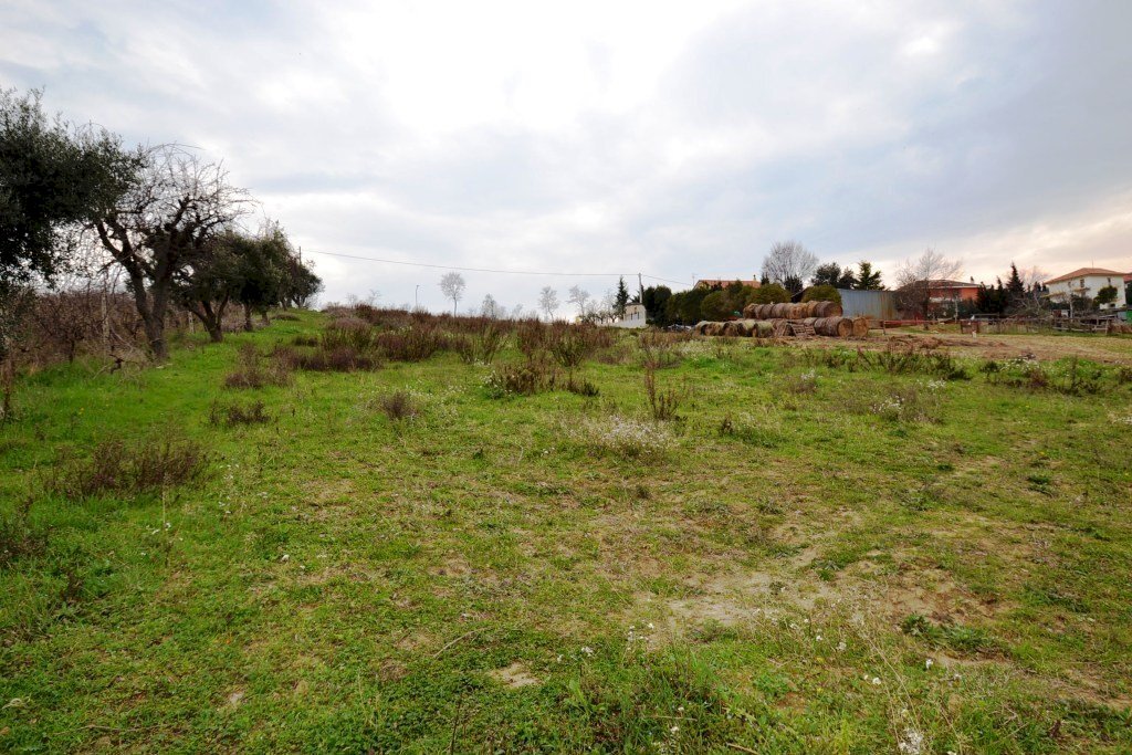 Foto 3 - Agricultural land Via borgo da monte, Monteprandone - photo 3