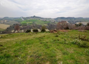 Foto 2 - Agricultural land Via borgo da monte, Monteprandone - photo 2