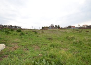 Foto 4 - Agricultural land Via borgo da monte, Monteprandone - photo 4