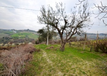 Foto 6 - Agricultural land Via borgo da monte, Monteprandone - photo 6