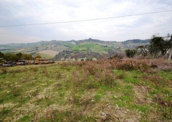 Foto 7 - Agricultural land Via borgo da monte, Monteprandone - photo 7