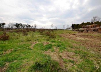 Foto 8 - Agricultural land Via borgo da monte, Monteprandone - photo 8