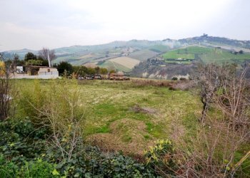 Foto 11 - Agricultural land Via borgo da monte, Monteprandone - photo 11