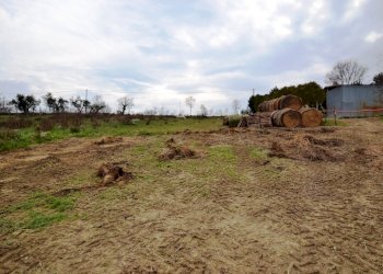 Foto 12 - Agricultural land Via borgo da monte, Monteprandone - photo 12