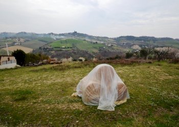 Foto 14 - Agricultural land Via borgo da monte, Monteprandone - photo 14