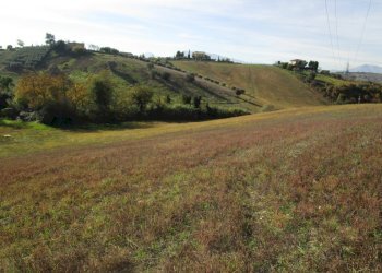 Foto 17 - Rustico Strada Provinciale 46, Monsampolo del Tronto - foto 17