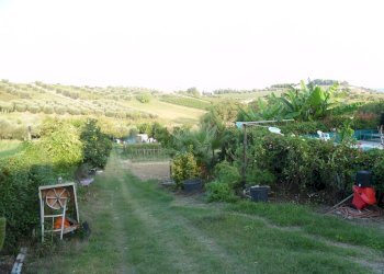 Foto 38 - Villa Contrada Carpineto, Monsampolo del Tronto - foto 38