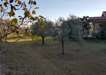 Foto 28 - Villa VIA BORGO DA MONTE, Monteprandone - photo 28