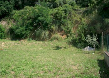 Foto 12 - Casa indipendente abruzzi, Cupra Marittima - foto 12