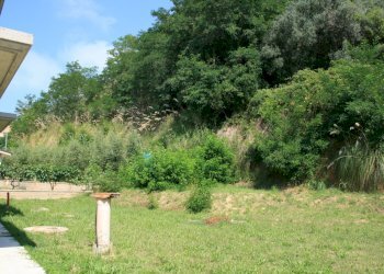 Foto 13 - Casa indipendente abruzzi, Cupra Marittima - foto 13