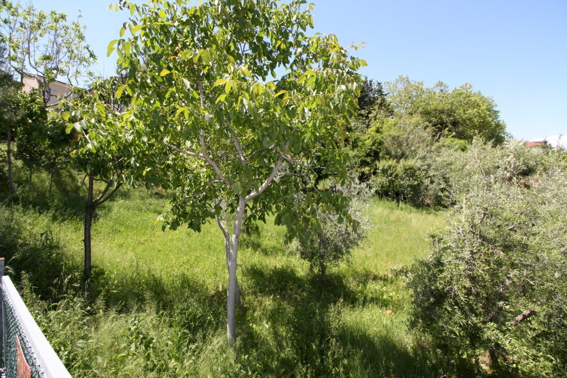 Foto 1 - Building land VIA TEVERE, Monteprandone - photo 1