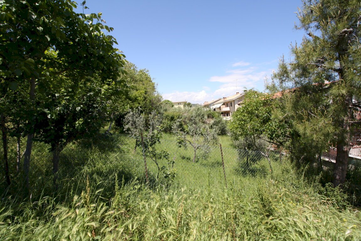 Foto 2 - Building land VIA TEVERE, Monteprandone - photo 2