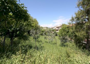 Foto 2 - Terreno edificabile VIA TEVERE, Monteprandone - foto 2