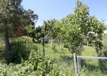 Foto 3 - Terreno edificabile VIA TEVERE, Monteprandone - foto 3