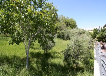 Foto 4 - Terreno edificabile VIA TEVERE, Monteprandone - foto 4