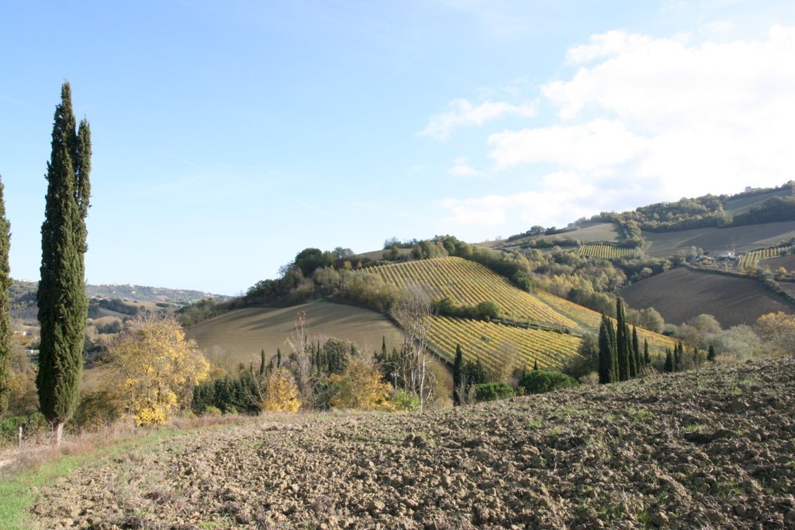 Foto 1 - Terreno agricolo contrada santimero, Ripatransone - foto 1