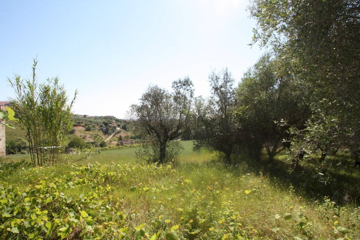 Foto 3 - Terreno edificabile VIA MATTEOTTI, Monteprandone - foto 3