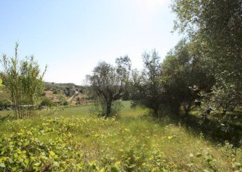 Foto 3 - Terreno edificabile VIA MATTEOTTI, Monteprandone - foto 3