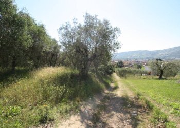 Foto 5 - Terreno edificabile VIA MATTEOTTI, Monteprandone - foto 5