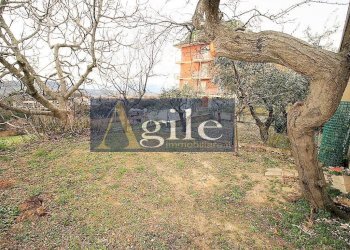 Foto 9 - Appartamento trieste, Montefiore dell'Aso - foto 9