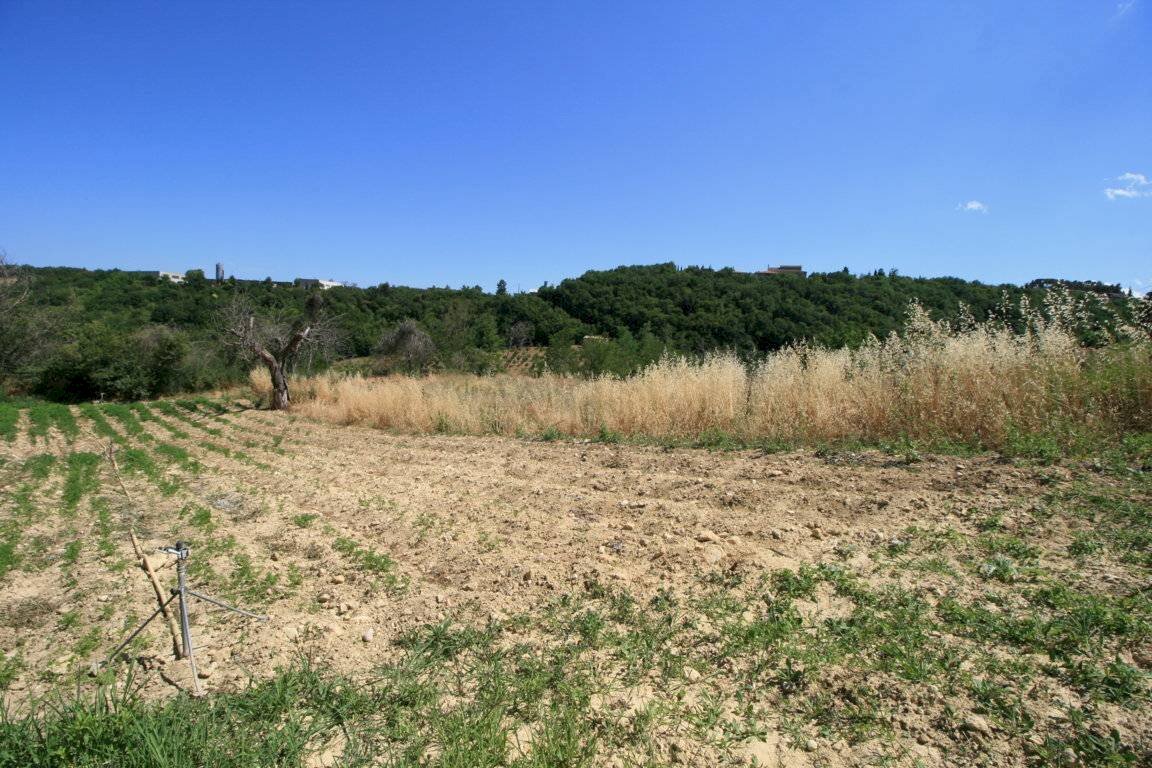 Foto 4 - Rustico contrada acquarola, Ripatransone - foto 2