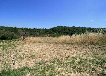 Foto 4 - Rustico contrada acquarola, Ripatransone - foto 2