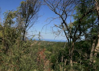 Foto 7 - Rustico contrada acquarola, Ripatransone - foto 5