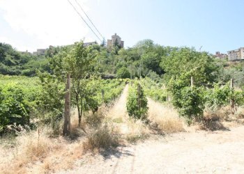 Foto 8 - Rustico contrada acquarola, Ripatransone - foto 6