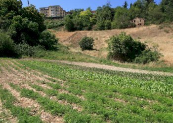 Foto 9 - Rustico contrada acquarola, Ripatransone - foto 7