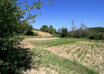 Foto 10 - Rustico contrada acquarola, Ripatransone - foto 8