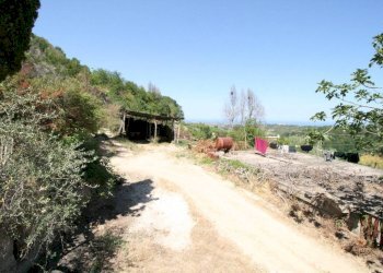 Foto 16 - Rustico contrada acquarola, Ripatransone - foto 14