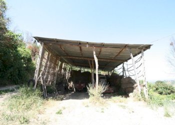 Foto 17 - Rustico contrada acquarola, Ripatransone - foto 15