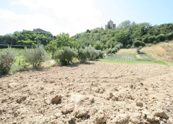 Foto 18 - Rustico contrada acquarola, Ripatransone - foto 16