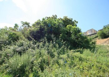 Foto 21 - Rustico contrada acquarola, Ripatransone - foto 19