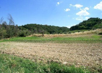 Foto 23 - Rustico contrada acquarola, Ripatransone - foto 21