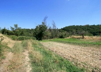 Foto 24 - Rustico contrada acquarola, Ripatransone - foto 22