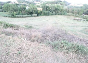 Foto 4 - Rustico via Piediprato, Spinetoli - foto 4