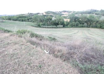 Foto 5 - Rustico via Piediprato, Spinetoli - foto 5