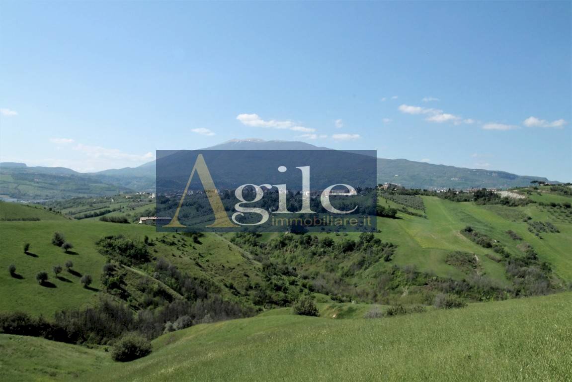 Foto 3 - Rustic Contrada Fosso Riccione, Ascoli Piceno - photo 3