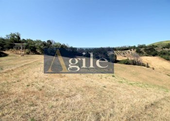 Foto 11 - Rustico STRADA PROVINCIALE 58, Carassai - foto 11