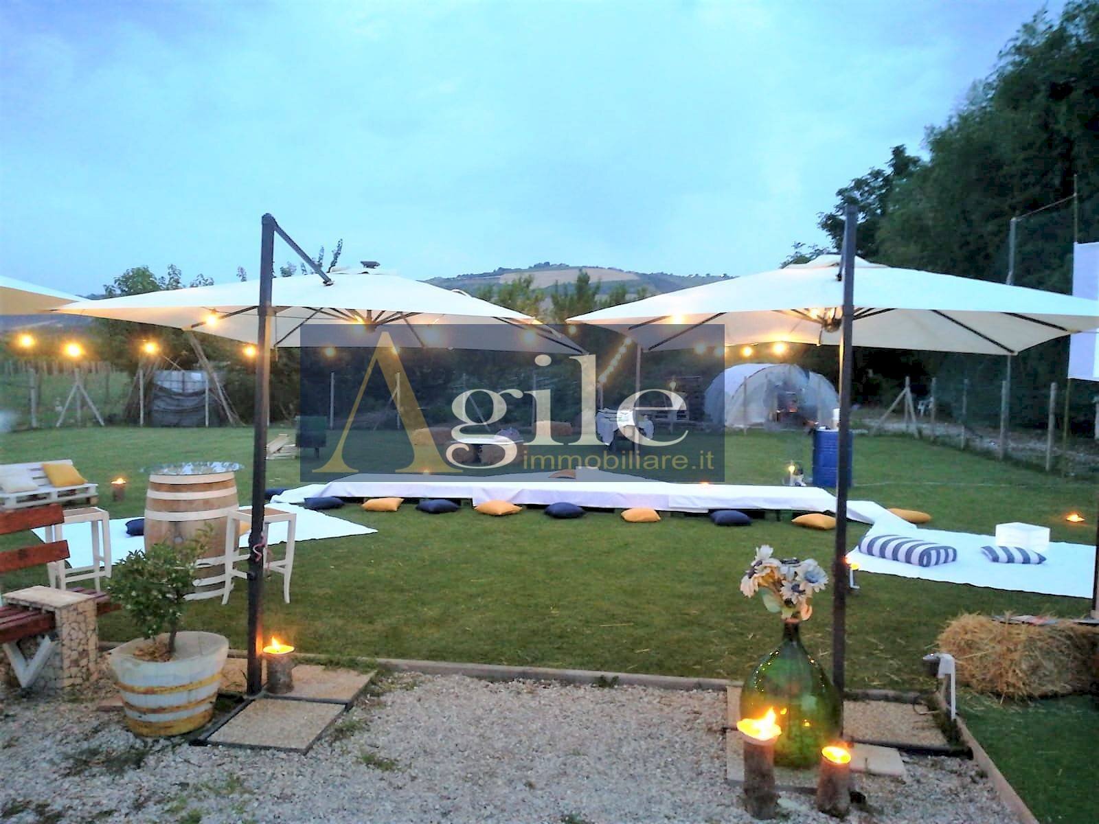 Foto 3 - Terreno agricolo Contrada Casale Inferiore, Colli del Tronto - foto 3